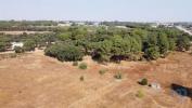 Acheter Terrain PALMELA rgion SETUBAL