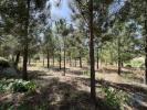 Vente Terrain GUILHEIRO 3640