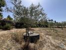 Annonce Vente Terrain GUILHEIRO