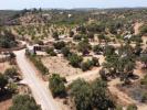 Annonce Vente Terrain LAGOS