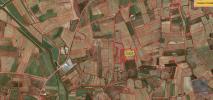 Annonce Vente Terrain ALTO-FOZ