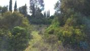 Acheter Terrain LOULE rgion FARO