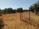 Annonce Vente Terrain LOULE