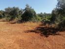 Acheter Terrain LOULE rgion FARO
