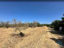 Acheter Terrain 3700 m2 TAVIRA