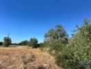 Acheter Terrain 5570 m2 TAVIRA