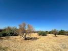 Acheter Terrain 6820 m2 TAVIRA