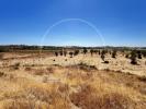 Acheter Terrain 32767 m2 CASTRO-MARIM