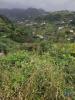 Acheter Terrain 870 m2 PORTO-DA-CRUZ