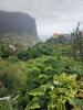 Annonce Vente Terrain PORTO-DA-CRUZ