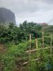 Acheter Terrain 990 m2 PORTO-DA-CRUZ