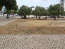 Acheter Terrain 465 m2 LOULE