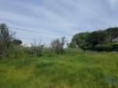 Acheter Terrain 5880 m2 BOMBARRAL