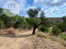 Acheter Terrain 11142 m2 VILA-DO-BISPO
