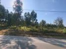 Annonce Vente Terrain ANDORINHA