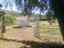 Acheter Terrain OLIVEIRA-DO-HOSPITAL rgion COIMBRA
