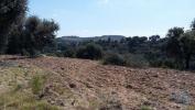 Vente Terrain CHAMUSCA 2140