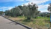 Acheter Terrain CHAMUSCA rgion SANTAREM
