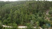 Annonce Vente Terrain POMBAL