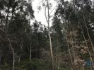 Acheter Terrain 1480 m2 POMBAL