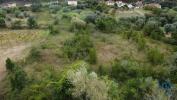 Annonce Vente Terrain POMBAL