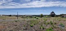 Acheter Terrain RIO-MAIOR rgion SANTAREM