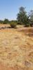 Annonce Vente Terrain LOULE