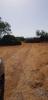 Acheter Terrain 13750 m2 LOULE