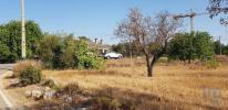 Annonce Vente Terrain LOULE