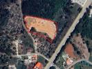 Annonce Vente Terrain ALCOBACA