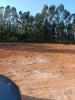 Acheter Terrain 9770 m2 ALCOBACA