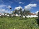 Acheter Terrain 645 m2 ALMODOVAR