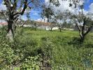 Acheter Terrain ALMODOVAR rgion BEJA