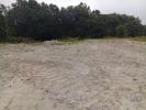 Annonce Vente Terrain BARCELOS