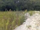 Acheter Terrain BARCELOS rgion BRAGA