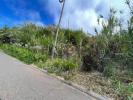 Acheter Terrain 1020 m2 CALHETA