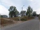 Acheter Terrain 32767 m2 BRAGA