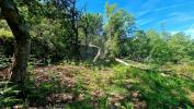 Acheter Terrain 30 m2 VIEIRA-DO-MINHO