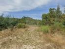 Vente Terrain CELORICO-DE-BASTO 4890