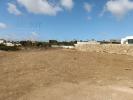 Acheter Terrain 12908 m2 ALDEIA-GALEGA