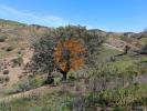 Annonce Vente Terrain CASTRO-MARIM