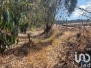 Annonce Vente Terrain CAMPELOS