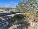 Acheter Terrain CAMPELOS rgion LISBOA