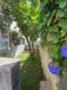 Annonce Vente 7 pices Appartement LISBOA