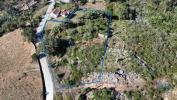 Acheter Terrain ANSIAO rgion LEIRIA