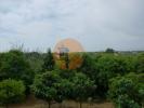 Acheter Terrain 330 m2 TAVIRA