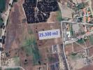 Annonce Vente Terrain PORTO-ALTO