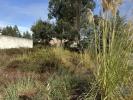 Annonce Vente Terrain AVEIRO