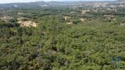 Acheter Terrain 32360 m2 FERREIRA-DO-ZEZERE