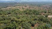 Acheter Terrain FERREIRA-DO-ZEZERE rgion SANTAREM